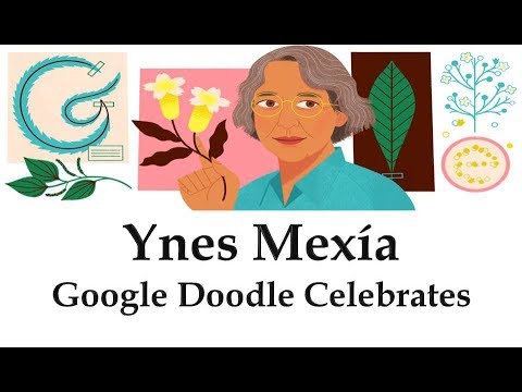 Ynés Mexía